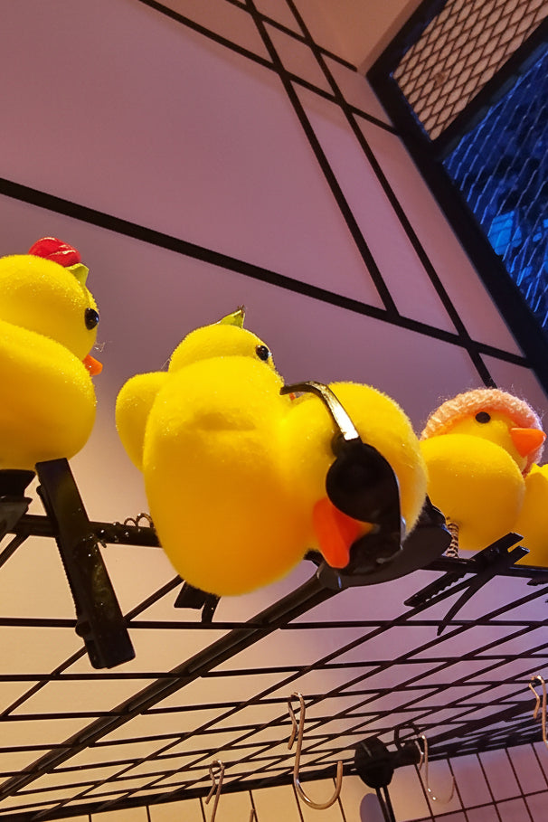 Mini duck
