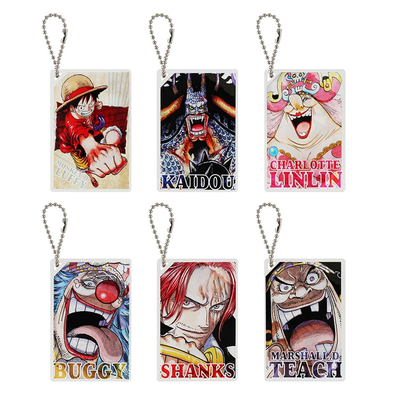 One piece Domino style acrylic key chain set of 6